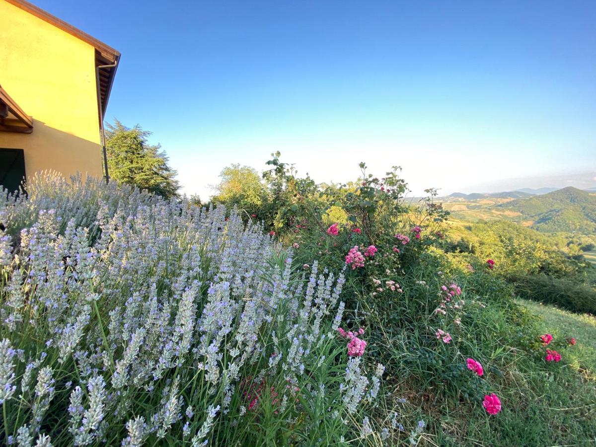 Case Crovina Salsomaggiore Terme Bagian luar foto